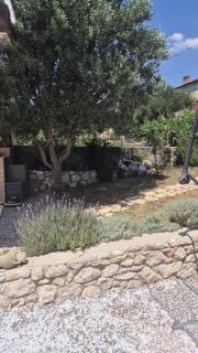 Bonvivan House - 8