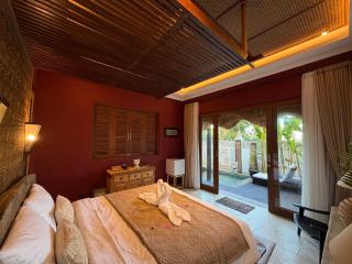 Beachview Villa near Sanur, Live Sports AFL NRL - 4
