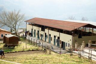 La Tenuta - Resort Agricolo - Casaprota - 3