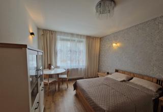 Apartament Stylowy Jeleń - 6