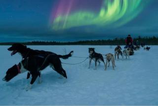 SKOG Aurora Glass Igloos - 1