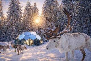SKOG Aurora Glass Igloos - 7