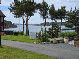 Fantastic year-around cabin with boats, hottube - 6