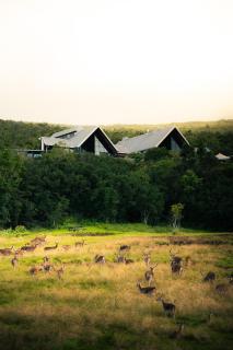 Hôtel Diana Dea Lodge & SPA - 6