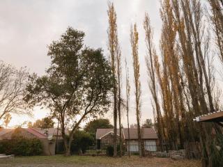 Poplar Grove Guesthouse - 3