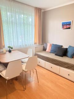 Apartmán u Skiareálu Modrá Hvězda - 9