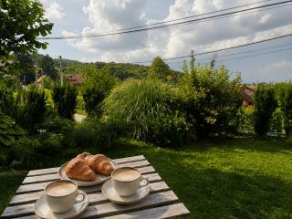 Slow Living Retreat near Zagreb - Fast WiFi - Workspace - Pet Friendly - 2