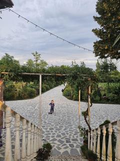 Guesthouse Kamelia - 9
