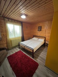 Cabana la Razvan - 6