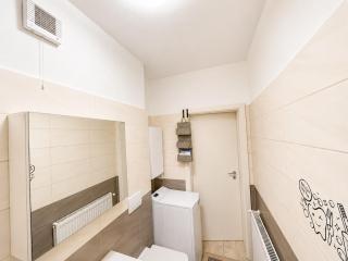 Apartment 2 rooms, Tractorul - 3