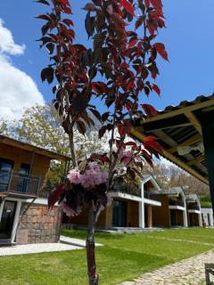 Artiz Family Resort Geghard - 4