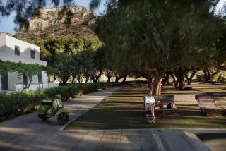 Mazi in Sifnos - 8