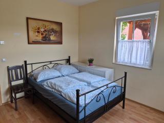 Sonniges Zimmer im Einfamilienhaus - 1