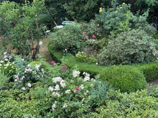 Villa Anna - Zinnowitz - 2