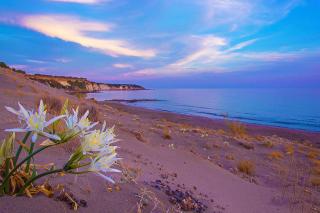 Aeolos seaside studios - 7
