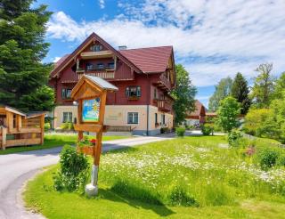 Charming House in Pruggern, Mountain View - 4