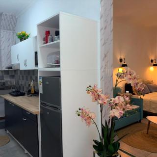 Newly Renovated Studio Apartment with Rooftop Pool, Few Steps to the Beach - 2