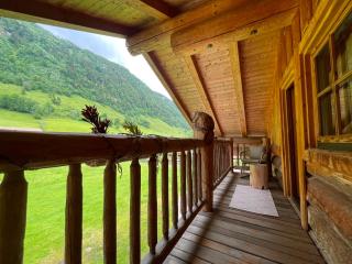 Alpen Chalets - 8