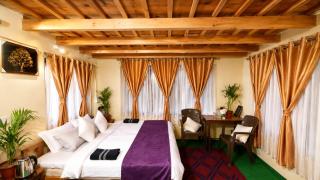 The Himalayan Heaven Homestay, Binsar - 3