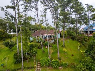 Casa Selva Escondida - 8