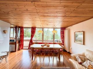 Ampio chalet nel bosco 3 camere, 3 bagni, relax vicino Cortina - 8