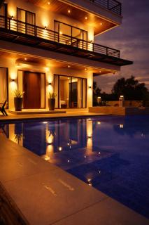 Hillside Luxury Villa Ocean View, Pool & Solar - 8