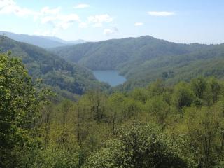 The House on the Lake - 7