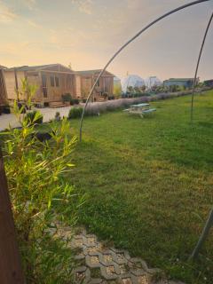 Mar a Lago Glamping23 - 4