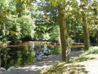 Gîte en Cévennes en bordure de rivière pour baignade, chambre clim naturelle - 2