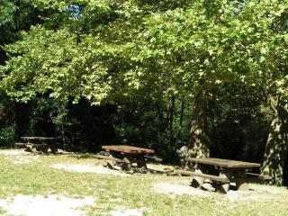 Gîte en Cévennes en bordure de rivière pour baignade, chambre clim naturelle - 1