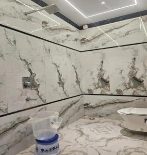 Hotel Sunshine Plaza Near IGI Delhi Airport - 5