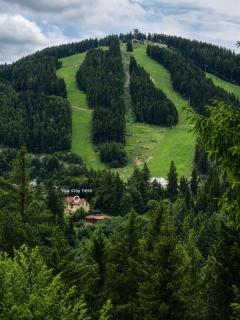 Ferienhaus Anna Semmering - Semmering - 4