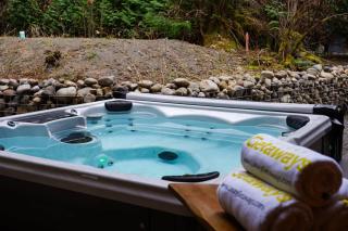 Aspire at Mount Baker - 8