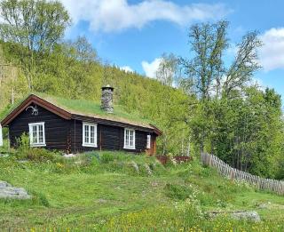 Gamle Reiremo - husmannsplass - 6