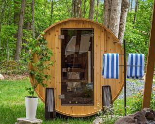 Sauna Hot Tub Game Room Swingset Sleeps 12 - 9