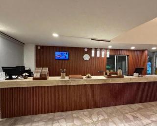 Hotel Solé Plaza Guadalajara - 6