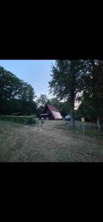 Ferienhaus Fuchswald - 4