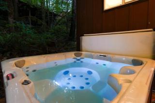 Hemlock Chalet - 7