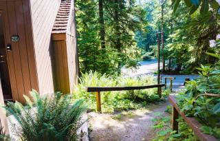 Cedar Suite at Snowater - 4