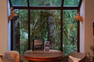 Cedar Suite at Snowater - 2