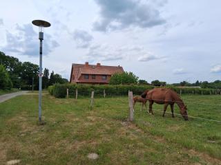 Ferienhaus Helen - 6