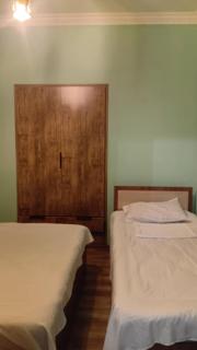 Ani guest house - 8