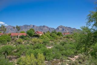 Spectacular Views Of Catalina Mtns Oro Valley - 8