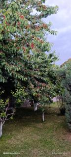 Kalachi guest house Armenia - 8