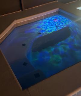 Bright & Spacious Disney Home - Private Pool, Heated Spa & Game Room - Sleeps 14 - 4