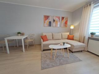 Komfortowe Studio przy Parku i Stadionie Śląskim - 1