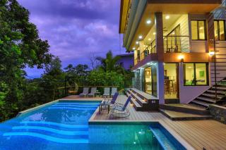 Breathtaking Jungle Views and Abundant Wildlife - 0