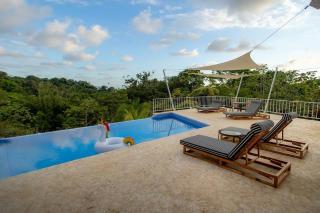 Casa Mariposa - Natural Paradise -Lots of Wildlife - 7