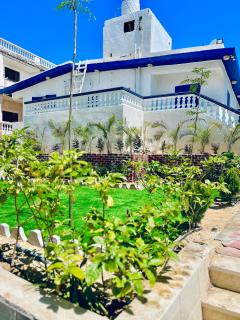 Garden view - 1