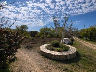 Peaceful countryside retreat - 6